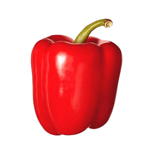 Red Capsicum