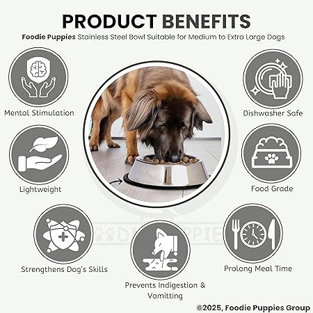 Pet Feeding Bowl (Steel)