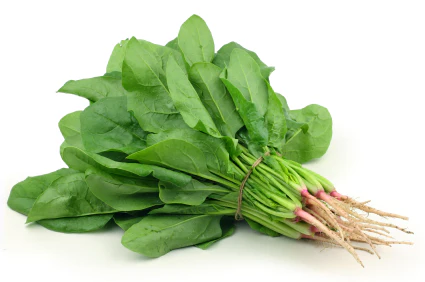 Fresh Organic Spinach