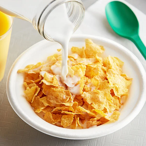 Corn Flakes Cereal
