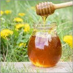 Mustard Flower Honey