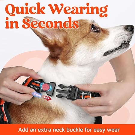 Dog Collar (Adjustable)