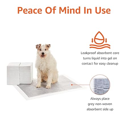 Puppy Training Pads