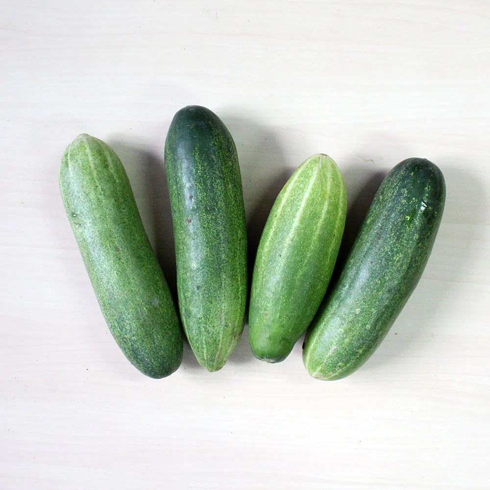 Fresh Organic Cucumbers