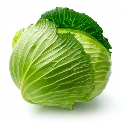 Cabbage (Bandgobhi)