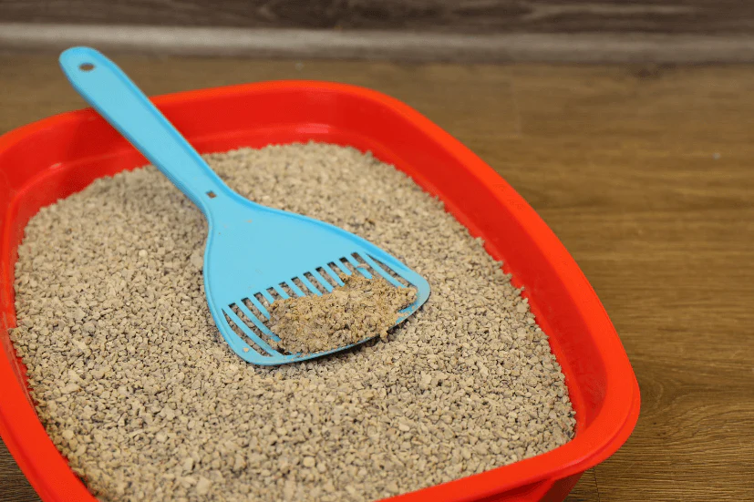 Cat Litter (Clumping)