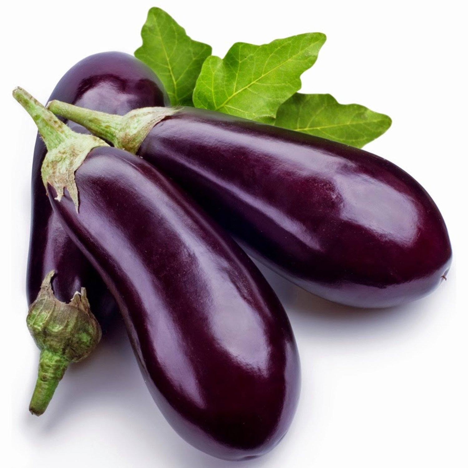 Fresh Brinjal (Eggplant)