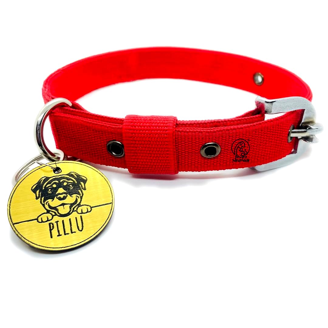 Dog Collar