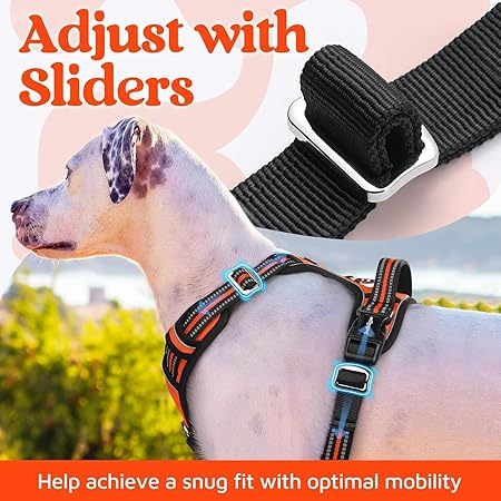 Dog Collar (Adjustable)