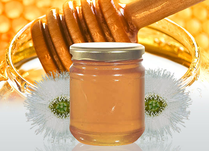 Eucalyptus Honey
